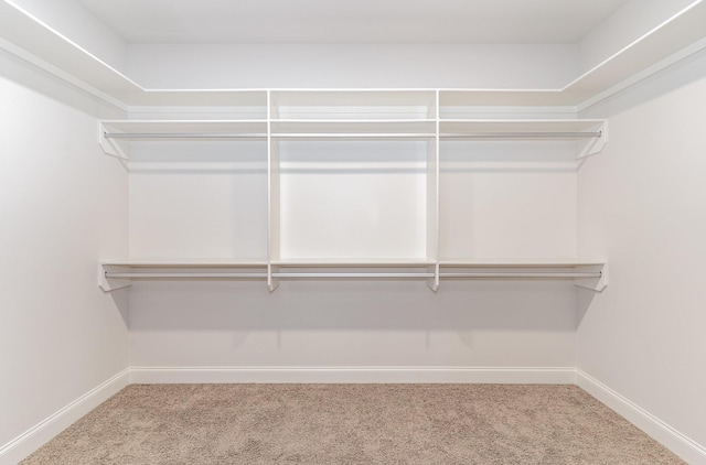 spacious closet with carpet floors