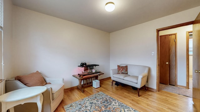 living area featuring light hardwood / wood-style floors