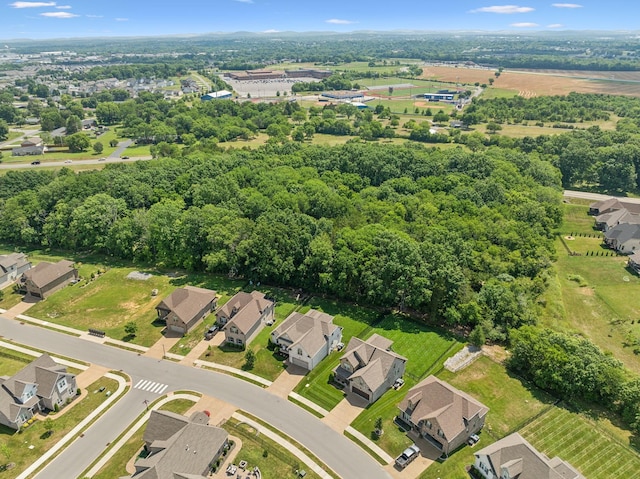 bird's eye view