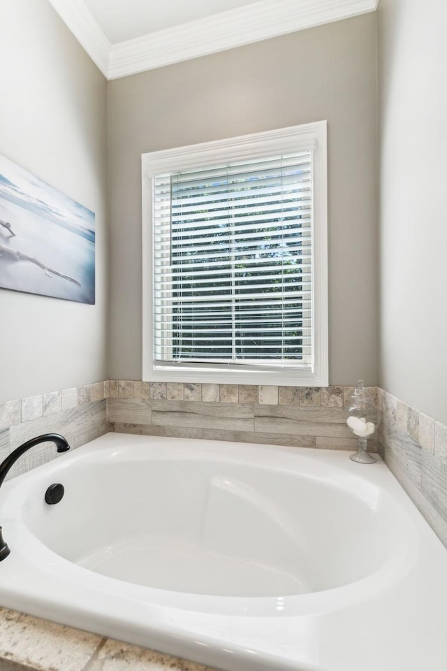 bathroom featuring a washtub and ornamental molding