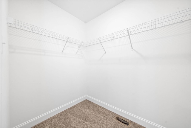 walk in closet with visible vents and carpet flooring