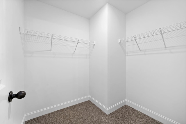 walk in closet featuring dark carpet