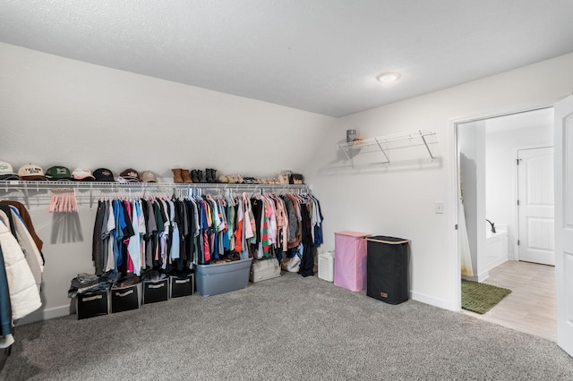 spacious closet with carpet flooring