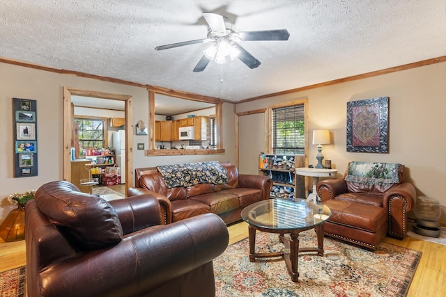 living room featuring ceiling fan, light hardwood / wood-style flooring, a textured ceiling, and ornamental molding