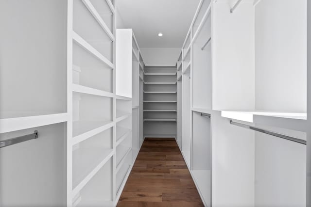 spacious closet featuring dark hardwood / wood-style flooring