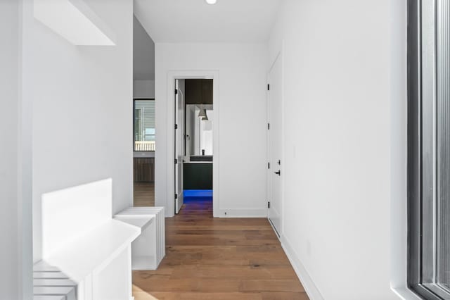 hallway featuring hardwood / wood-style flooring