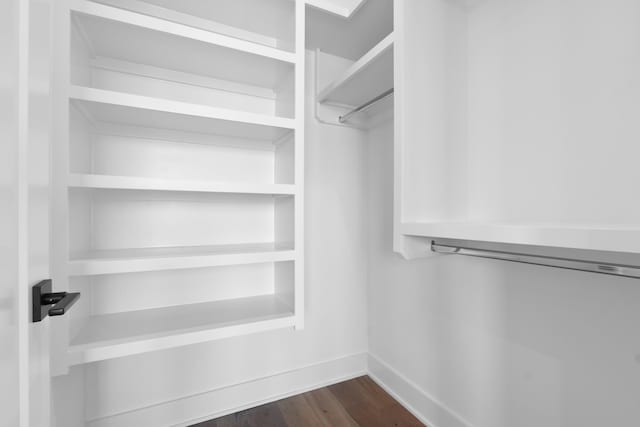 walk in closet featuring dark hardwood / wood-style flooring