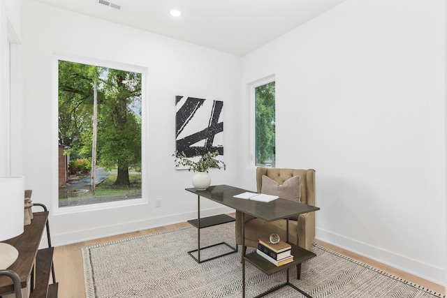 home office featuring wood-type flooring