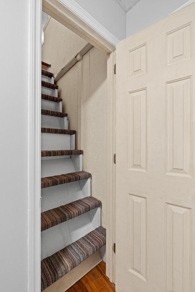 stairway with wood-type flooring