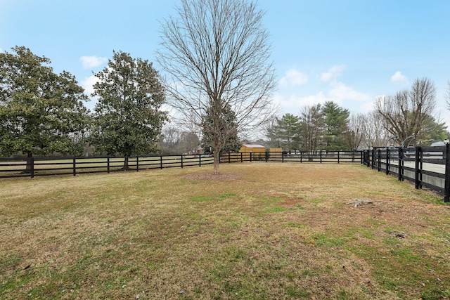 view of yard featuring a rural view