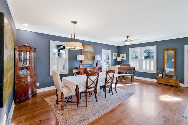 dining area featuring ceiling fan, dark hardwood / wood-style floors, and crown molding