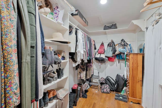 walk in closet featuring hardwood / wood-style flooring