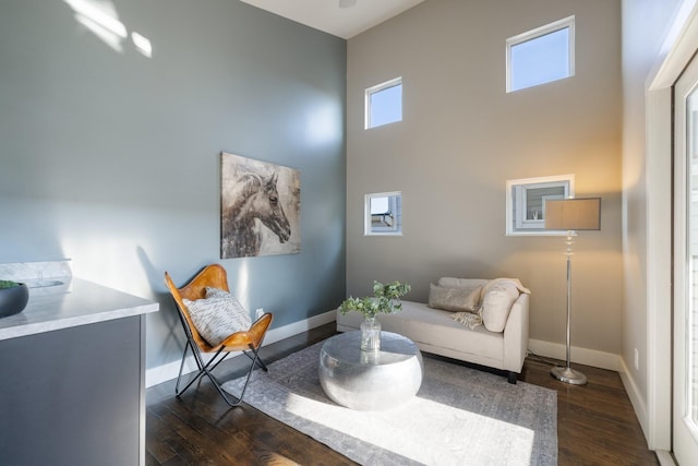 living area featuring dark hardwood / wood-style floors