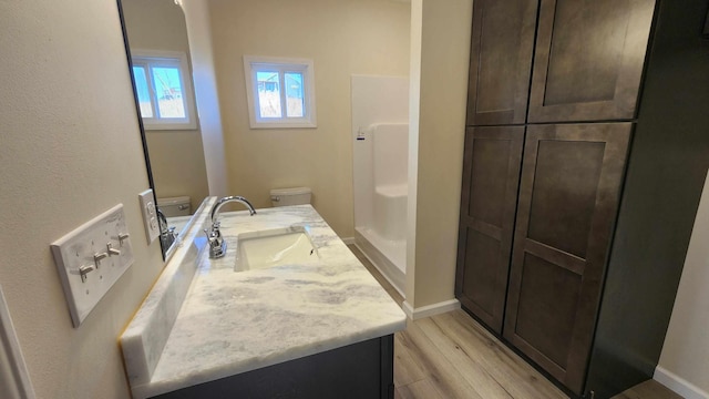 bathroom featuring toilet, vanity, and wood-type flooring