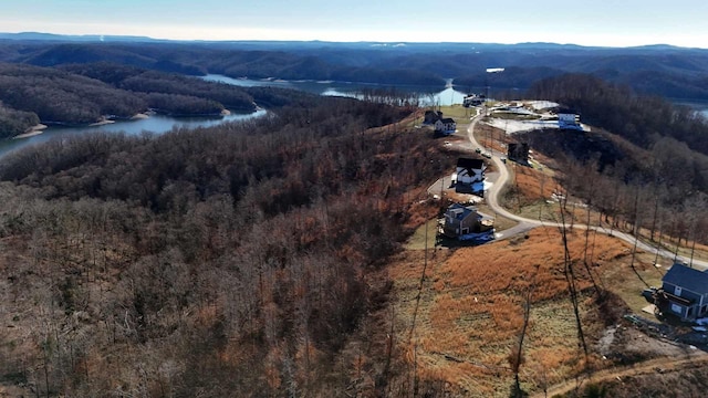 bird's eye view featuring a water and mountain view