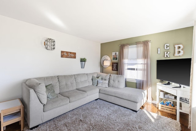 living room with wood-type flooring