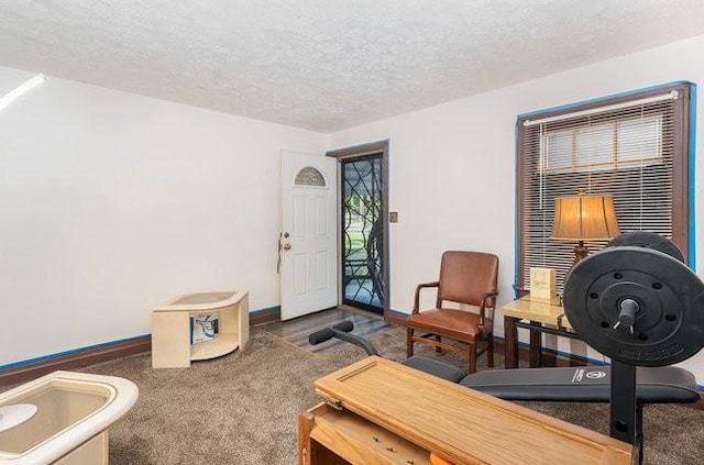 living area featuring dark colored carpet and a textured ceiling