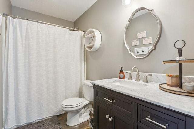 bathroom with vanity, toilet, and wood-type flooring