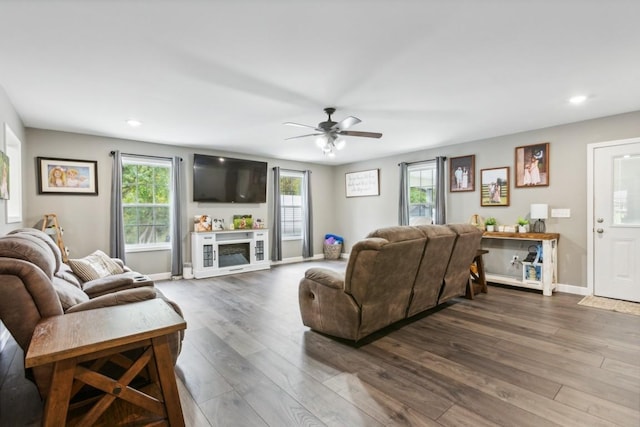 living room with ceiling fan and dark hardwood / wood-style flooring