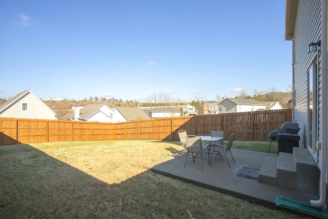 view of yard featuring a patio area