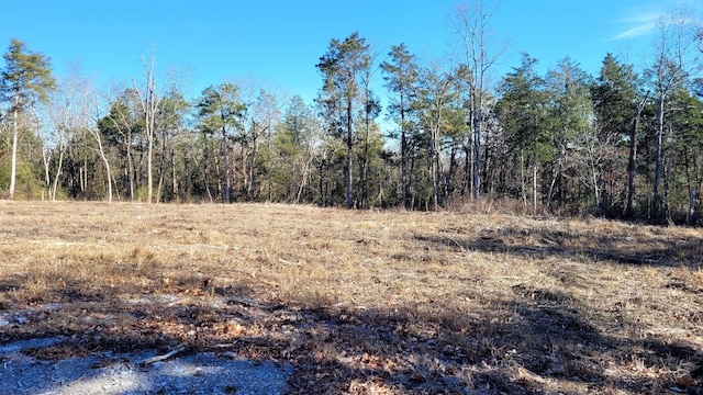 0 Arnold Ln, Wartrace TN, 37183 land for sale