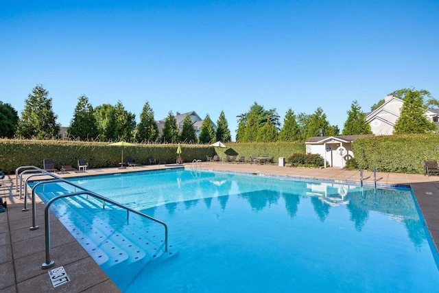 view of pool featuring a patio