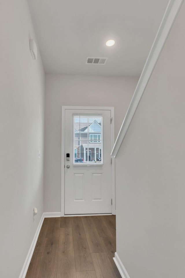 entryway featuring wood-type flooring