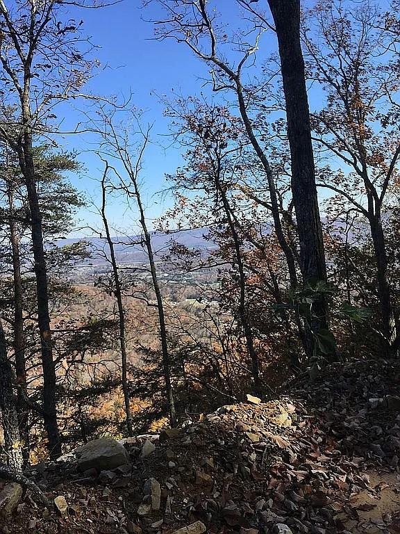 view of nature featuring a mountain view