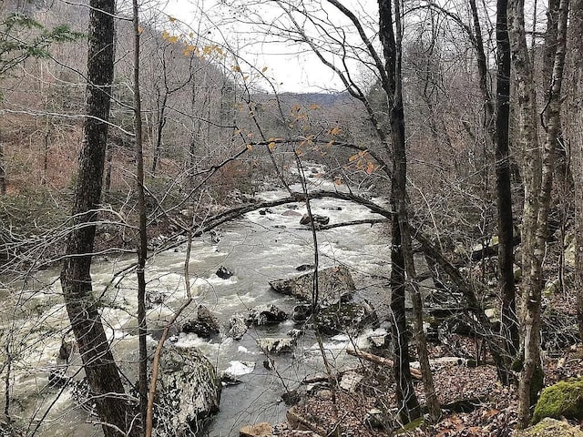 view of nature