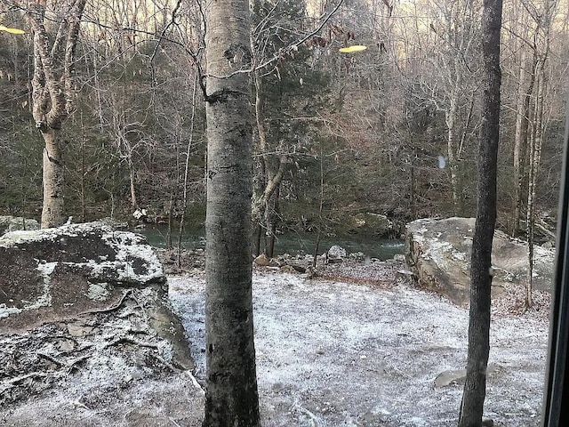 view of local wilderness