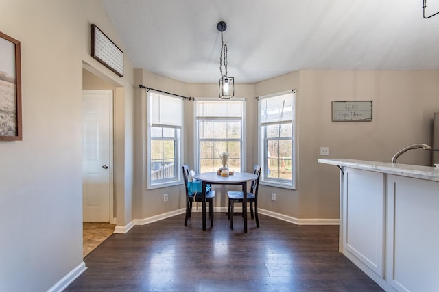 dining room featuring dark hardwood / wood-style floors