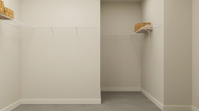 spacious closet featuring carpet flooring