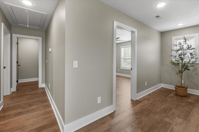 hall featuring wood-type flooring