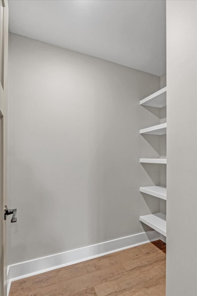 walk in closet with wood-type flooring