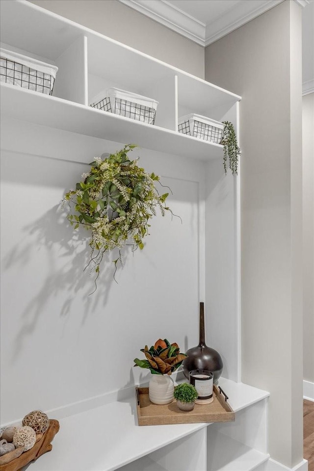 mudroom with ornamental molding