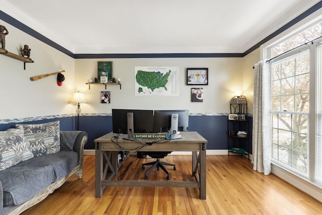 home office featuring light wood-type flooring, a wealth of natural light, and ornamental molding