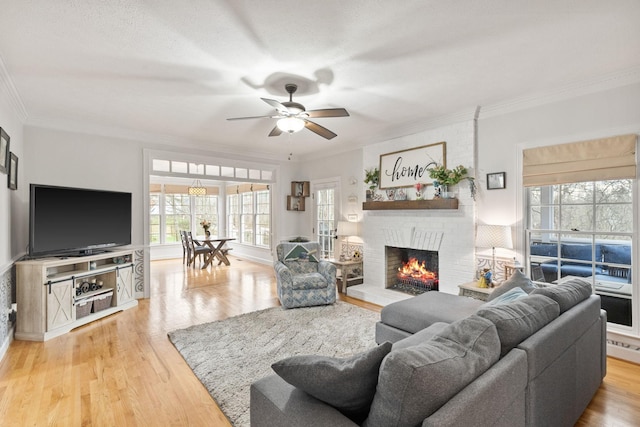 living room featuring ornamental molding, a fireplace, and wood-type flooring