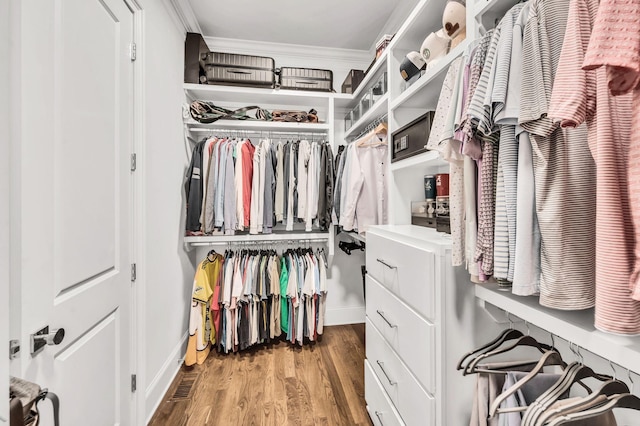 walk in closet with hardwood / wood-style floors