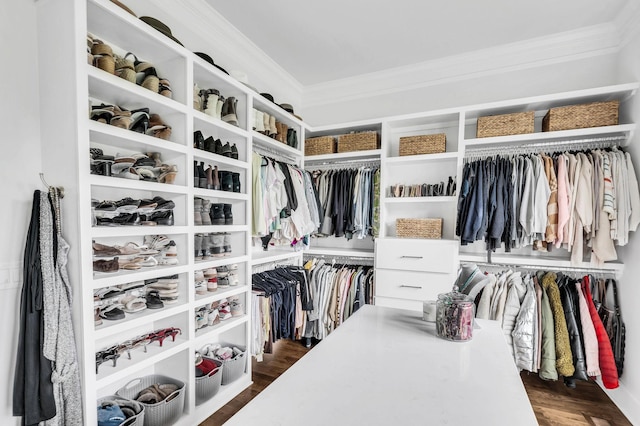 walk in closet featuring dark hardwood / wood-style floors