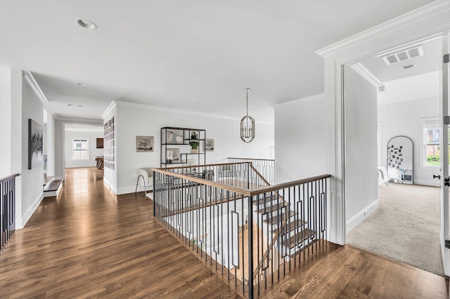 hall with a notable chandelier, dark hardwood / wood-style flooring, and ornamental molding