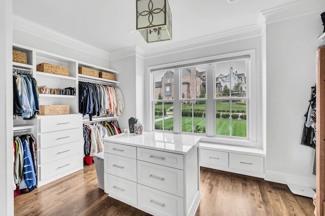 spacious closet with dark hardwood / wood-style flooring