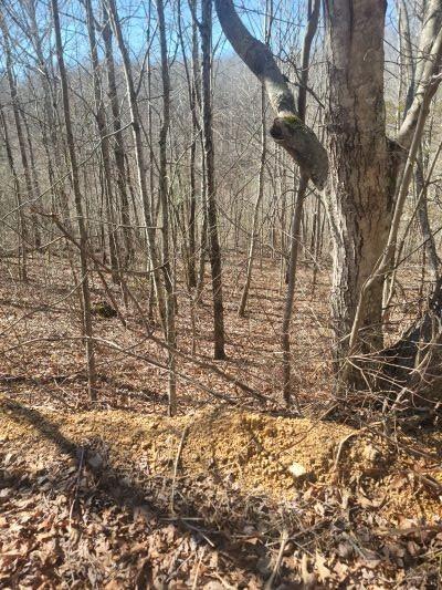 0 Reed Rd, Summertown TN, 38483 land for sale