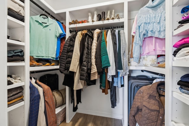 walk in closet with wood-type flooring