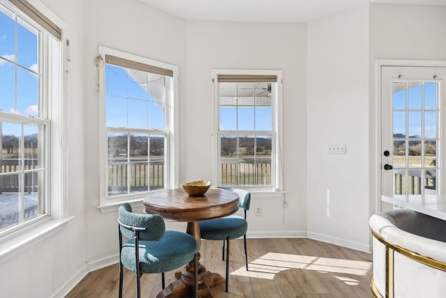 dining room with plenty of natural light and hardwood / wood-style floors