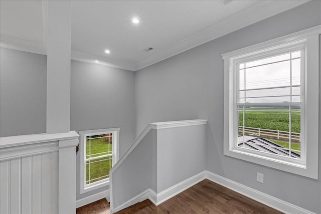 hallway featuring crown molding, a wealth of natural light, and dark wood-type flooring