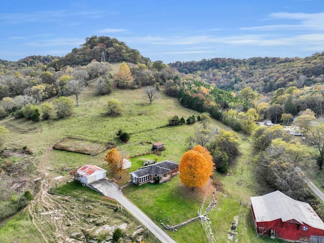 drone / aerial view