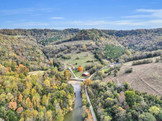aerial view
