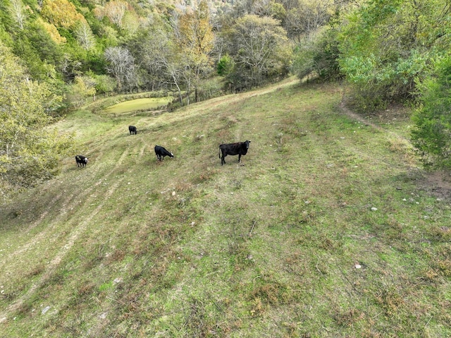 birds eye view of property featuring a rural view