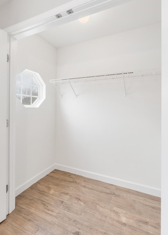 spacious closet with light hardwood / wood-style flooring