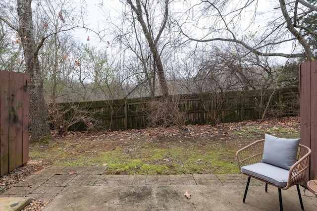 view of yard with a patio